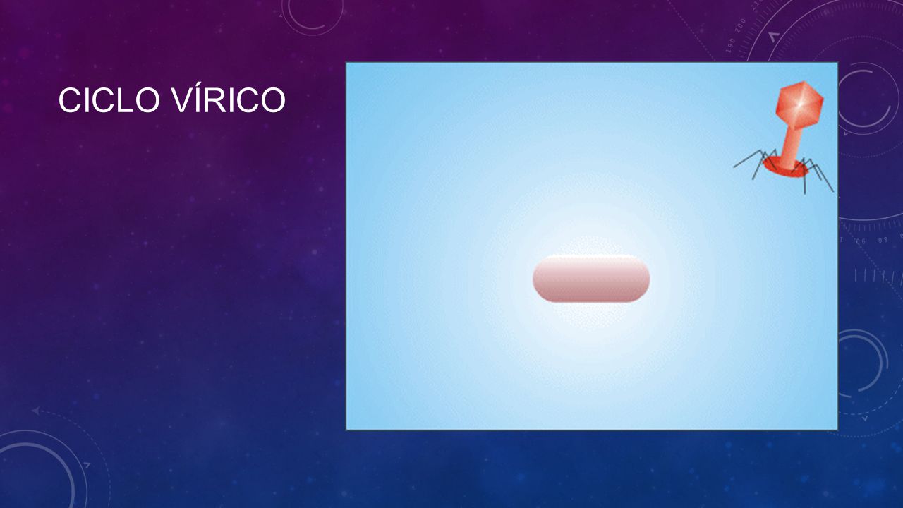 La pastilla para la profiláctica de los helmintos